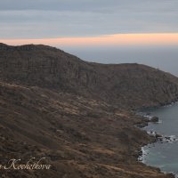 Природа Крыма :: Amazing Cosmea
