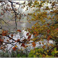 *** :: Aleksandr Gal