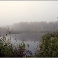 *** :: Aleksandr Gal