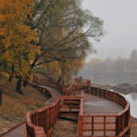 В осеннем парке :: Ирина С