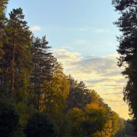 * :: Иннокентий Авдонин