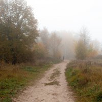 туман :: Владимир Зеленцов