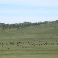 Остров Ольхон :: Танзиля Завьялова