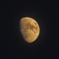 ах, эта луна... :: Всеволод 