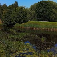 Август у пруда .. :: Татьян@ Ивановна Август у пруда .. :: Татьян@ Ивановна