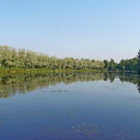 Отражение. :: VasiLina *