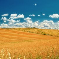 осенние пейзажи :: Нельсон 