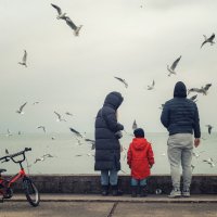 В гостях у чаек. :: Анатолий Щербак