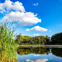 Озеро :: Дмитрий Курский 