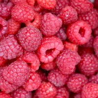 21 сентября :: краснов юрий 