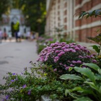 Гуляя в Царицыно :: Вячеслав Владимирович