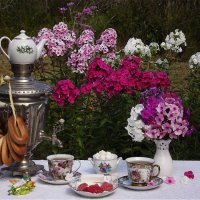 Чаепитие в деревне! :: Нина Андронова