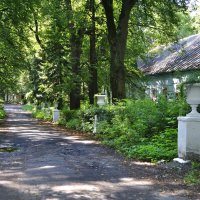 Дорожка к дому в заброшенном имении Быково :: Марина Виноградова
