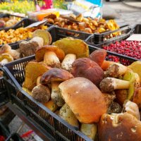 Собирать грибы нужно не в лесу, а на базаре :: Эмиль 