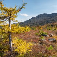 ... :: Владимир 