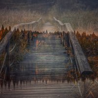 Параллельные миры... :: Софья Алавердян Параллельные миры... :: Софья Алавердян