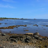 Отлив :: Александр Хаецкий