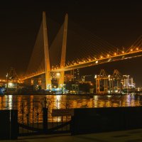 ... :: Жора Житников