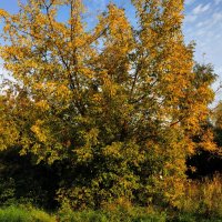 Место, в котором всегда 1 мая :: Андрей Лукьянов Место, в котором всегда 1 мая :: Андрей Лукьянов