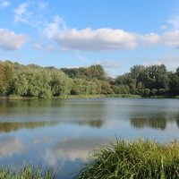 Осень в парке :: Дмитрий И_