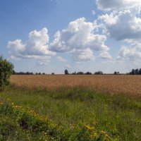 По дороге из Александрова в Кольчугино :: Сергей Цветков