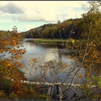 Прекрасная пора :: Aleksandr Gal