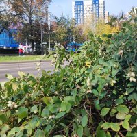 ,,, :: Сергей Тимоновский