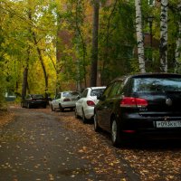 DSC_0033 :: Alexey_Ph5624 DSC_0033 :: Alexey_Ph5624