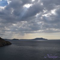 Природа Крыма :: Amazing Cosmea