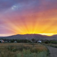 *** :: Александр Кислицын