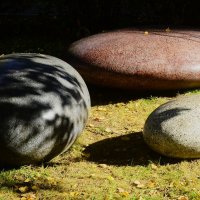 Под сентябрьским солнцем. :: Василий Палий