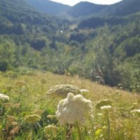 ЗАПАДНЫЙ КАВКАЗ. Пшехский водопад :: Tata Wolf