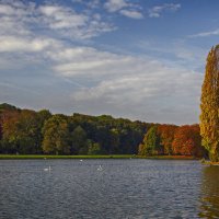 **** :: Андроник Александр 