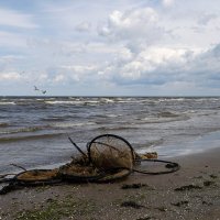 После шторма :: Регина 