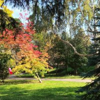 Осень в Самаре :: Надежда 