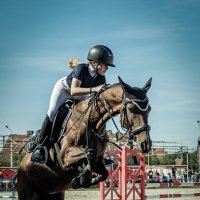 Это конкур :: Sergey 