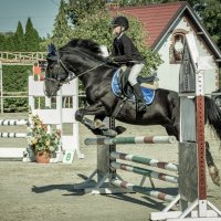 Это конкур :: Sergey 