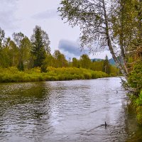 Берега. :: юрий Амосов