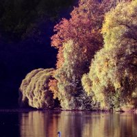 Царицыно утром 22 сентября :: Михаил Бибичков