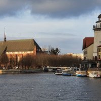 калининград :: Владимир 