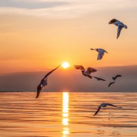 В новый день :: Ирина 