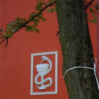 будьте здоровы! :: sv.kaschuk 