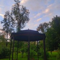 Беседка :: Сапсан 