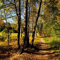 Осеннее равноденствие. На сколько дней еще осталось тепла? :: Андрей Лукьянов