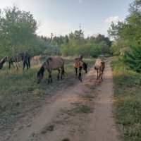 Лето :: Андрей Хлопонин Лето :: Андрей Хлопонин