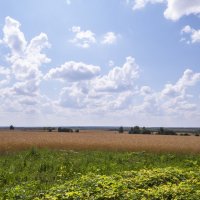 Родные просторы :: Сергей Цветков