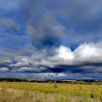 поля Алтая :: Евгений Фролов
