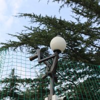 Фонарик-репортёр :: Ольга 