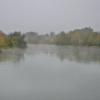 Туман над водой, Право - Егорлыкский канал :: Надежда Куркина 