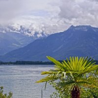 На берегу Женевского озера. :: Андрей Андреев Андреев